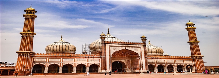 Udaipur, Ranthambore Safari, Jaipur & Delhi Tour - 7 Days