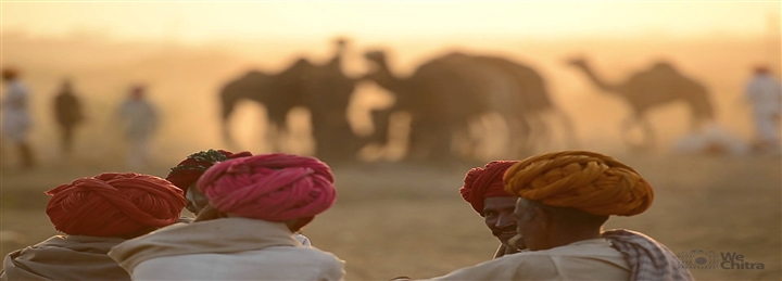 Golden Triangle with Spiritual Pushkar Tour - 7 Days