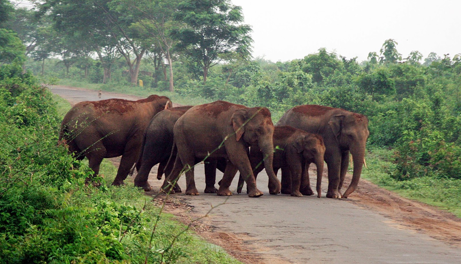 Backwater Kerala - 5 Days Tour