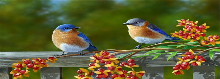 Agra, Mathura, Bharatpur Birds & Jaipur Tour - 6 Days