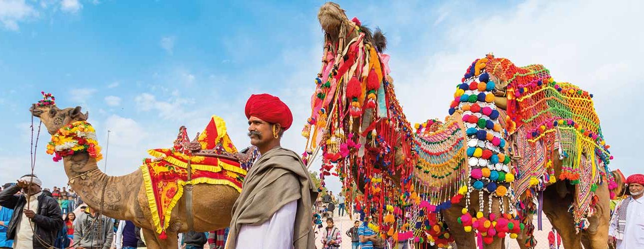 Essence of Pushkar & Ajmer From Jaipur Tour - 2 Days