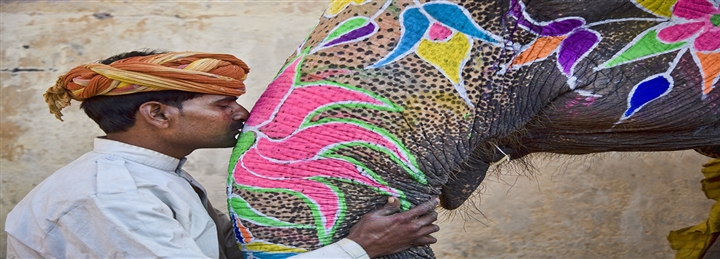 Guided Jodhpur & Jaisalmer Dunes Tour From Jaipur - 6 Days