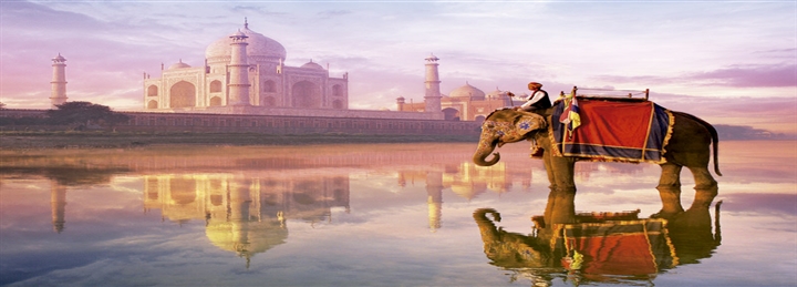 Taj Mahal & Ranthambore Safari Tour From Jaipur - 3 Days