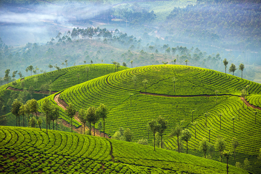Nature Retreat - 4 Days Tour