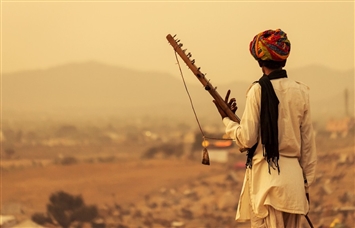 Ranthambore, Pushkar, Jodhpur, Udaipur & Mt Abu Tour - 7 Days