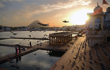 Ranthambore with Guided Pushkar & Jaipur Tour - 5 Days